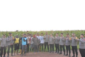 WhatsApp Image 2025-01-14 at 20.39.13 (1)