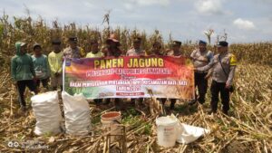 WhatsApp Image 2025-02-04 at 13.17.08