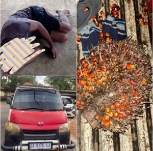 Screenshot_20250612_073631_Editor Lite