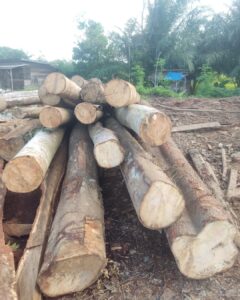 Screenshot_20250707_183250_Gallery