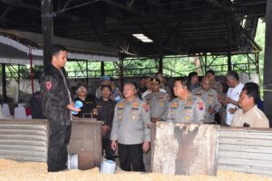 WhatsApp Image 2025-08-28 at 18.48.58