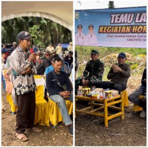 Screenshot_20250916_222524_Editor Lite