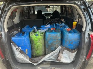 Screenshot_20251009_231458_Gallery