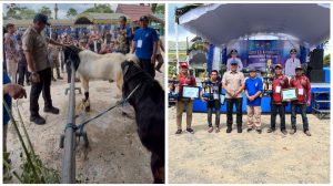 Screenshot_20251127_200524_Editor Lite