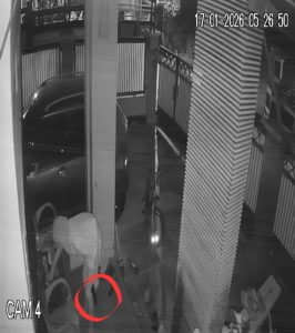 Screenshot_20260117_214738_Gallery